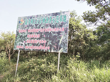 九游会·J9(中国游)官方网站-真人游戏第一品牌