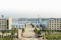 九游会J9,油茶莳植生产加工销售,植物油莳植生产加工销售