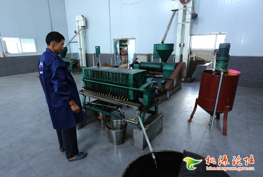 九游会J9,油茶莳植生产加工销售,植物油莳植生产加工销售