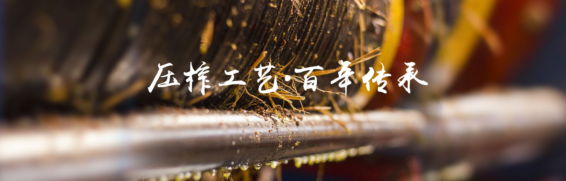 九游会J9_油茶莳植生产加工销售|植物油莳植生产加工销售