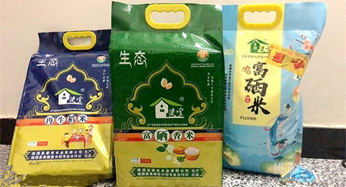 九游会J9,油茶莳植生产加工销售,植物油莳植生产加工销售