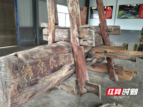 九游会J9,油茶莳植生产加工销售,植物油莳植生产加工销售