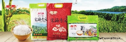 九游会J9,油茶莳植生产加工销售,植物油莳植生产加工销售